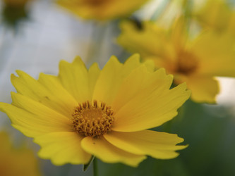 Similar image 21197236