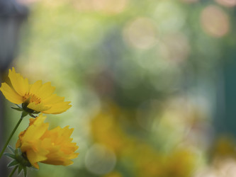 Similar image 21197237