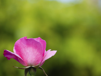 Similar image 21197238