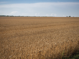 Similar image 21197241