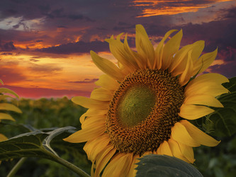 Similar image 21197243