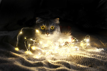 Similar image 21198464