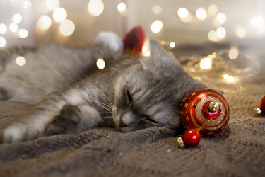 Similar image 21198466