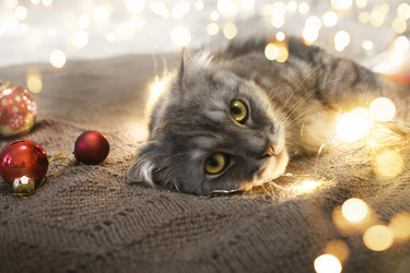 Similar image 21198467