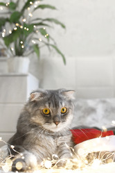 Similar image 21198469