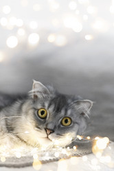 Similar image 21198470