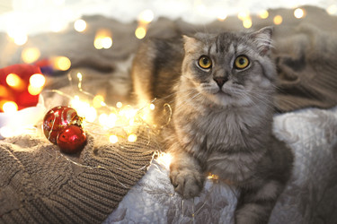 Similar image 21198471