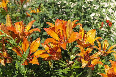 Similar image 21197786