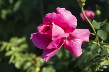 Similar image 21197787