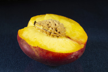 Similar image 21197867