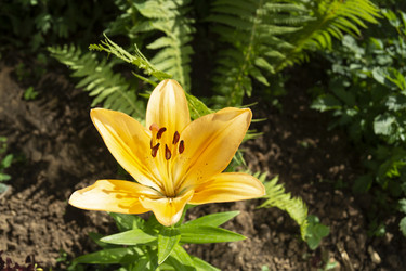 Similar image 21197868