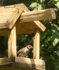 Similar image 21197869