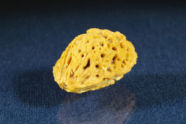 Similar image 21197870