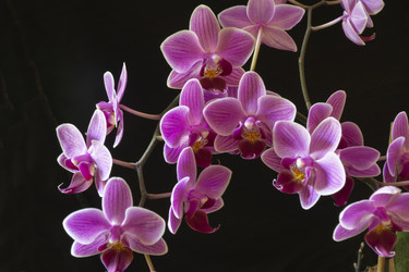 Similar image 21197878