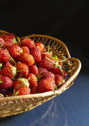 Similar image 21197879