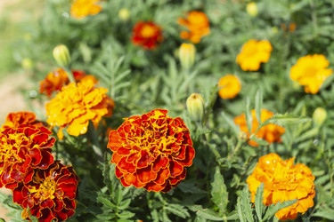 Similar image 21197881