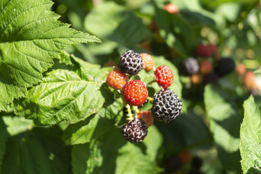 Similar image 21197882