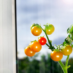 Similar image 21196364