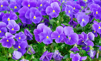 Similar image 21196627