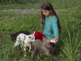 Similar image 21197244