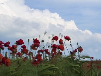 Similar image 21197245