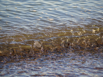 Similar image 21197249