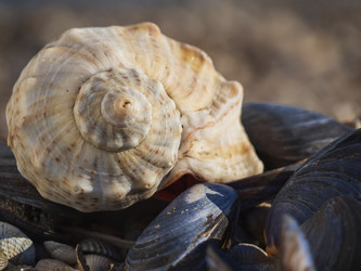 Similar image 21197250