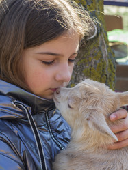 Similar image 21197255