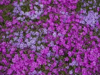 Similar image 21197256