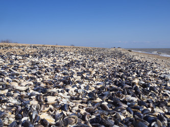 Similar image 21197257