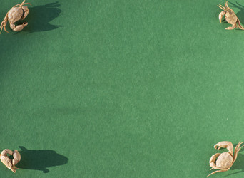 Similar image 21197259