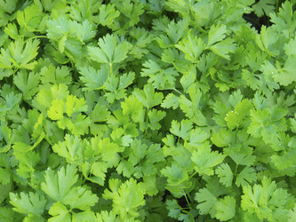 Similar image 21197260