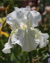 Similar image 21197261