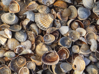 Similar image 21197264