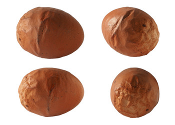 Similar image 21197265