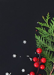 Similar image 21198588