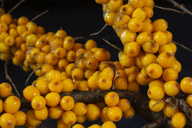 Similar image 21197791