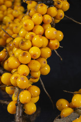 Similar image 21197792