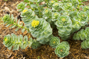 Similar image 21197908