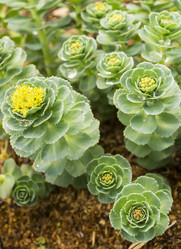 Similar image 21197910