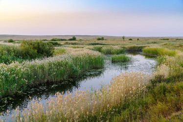 Similar image 21198022