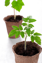 Similar image 21196542