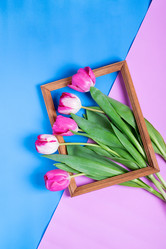 Similar image 21198067