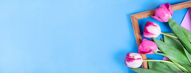 Similar image 21198068