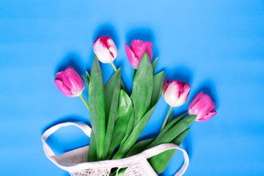 Similar image 21196344