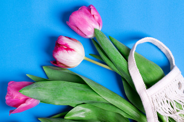 Similar image 21196345