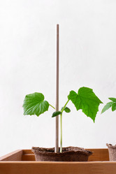 Similar image 21196354