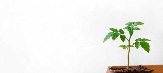 Similar image 21196358