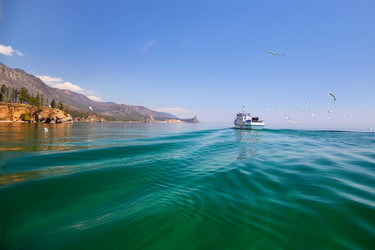 Similar image 21196652