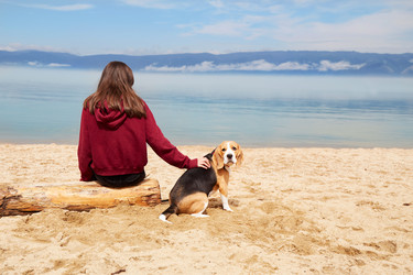 Similar image 21198495